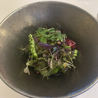 オトワ レストラン - 