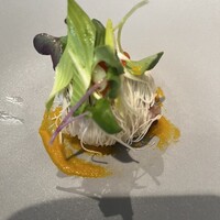 D'ORO HATSUDAI - 