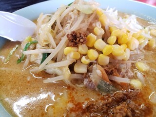 麺屋まる勝かっちゃんラーメン - 具材