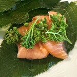 松川 - サクラマス　花山椒