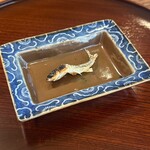 松川 - 琵琶湖　モロコ