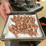 恵比寿 鮨 ふじまさ - 