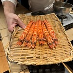 恵比寿 鮨 ふじまさ - 