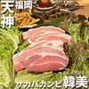 とろ～りチーズ×韓国料理×食べ放題 韓美 天神