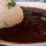 スパイシーチキンカレー