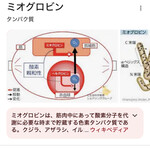 焼きもの家 慶 - 