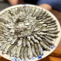 馳走西健一 - ついさっきまで泳いでいた豆鯵ちゃんたち♪