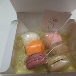 MAISON MACARON
