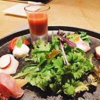 トレヴィーテ - 