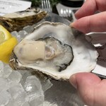 Oysterbar & Wine BELON - 