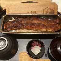 うなぎ四代目菊川 ヒルトンプラザウエスト大阪店 - 