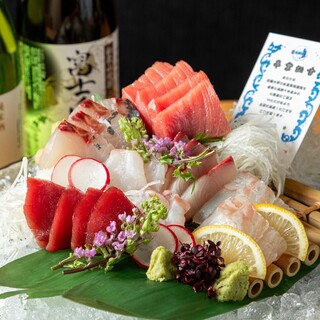 Enjoy selected fresh fish farmed by Kindai University, including Kindai Tuna