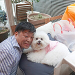 エビスエスクラッシコ - 戴いたドギー・ベッド