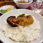 Chuukaryouri Daiichigen - 酢豚(on the rice)。ライスは200円で別注文