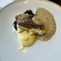 COLONIAL BEACH 横浜ハンマーヘッド - 