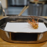 天ぷら 正心庵 - 