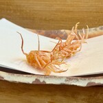 天ぷらふく西 禅と匠 - 