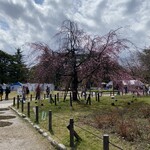 麺家 幸先坂 - すぐ近くの鶴舞公園