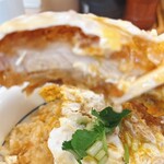 かつや - かつの断面
