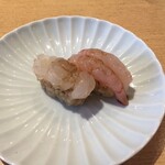 鮨し人 - 富山はやっぱり海老だよね