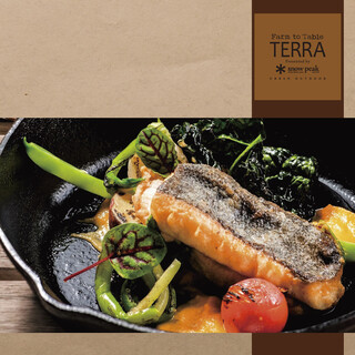 h Farm to Table TERRA - 