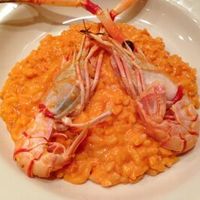 トラットリア・アルベロ - 手長海老のトマトクリーム