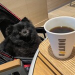 ドトールコーヒーショップ - 人間様だけすまんノォ