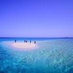 Cafeぽっぽ村&食堂たに - 