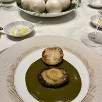 スガラボヴィー - 