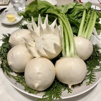 スガラボヴィー - 