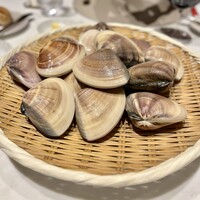 スガラボヴィー - 