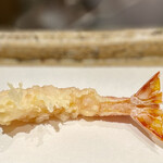 日本橋 蕎ノ字 - 車海老　レアな食感、プリプリの身がたまりません✨