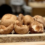 日本橋 蕎ノ字 - 清助のしいたけ（修善寺の原木椎茸）