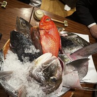 銀平 北新地店 - 