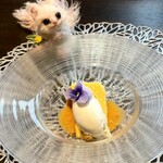 カシュ カシュ - シェフはパティシエとしても超一流、目にも鮮やか！この一皿だけでもまた来たくなる絶品スイーツですヽ(´▽｀)ノ✧*。✧