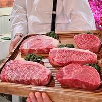Katsuya charcoal grill steakhouse - 