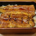 Unagi Akimoto - 