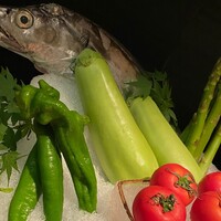 銀座 kappou ukai 肉匠 - 