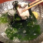 新海藻和牡蛎涮火锅