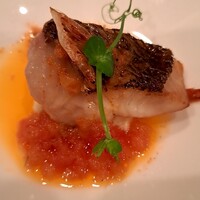 レストラン サクラ - 