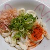 EXPASA御在所 上り - もちもち伊勢うどん(ねぎ&削り節&一味トッピング)