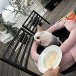 マザームーンカフェ - 