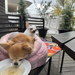 マザームーンカフェ - 