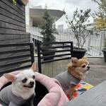 マザームーンカフェ - 