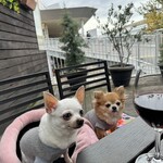 マザームーンカフェ - 