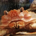 カニカニランド - 