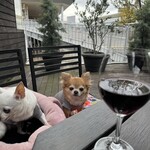 マザームーンカフェ 六甲店 - 