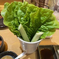 近江うし焼肉 にくTATSU 銀座店 - サンチュ