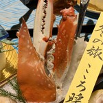 汀邸　遠音近音　Ochi Kochi - 