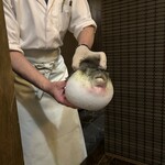 ふぐ御料理處 でん - 